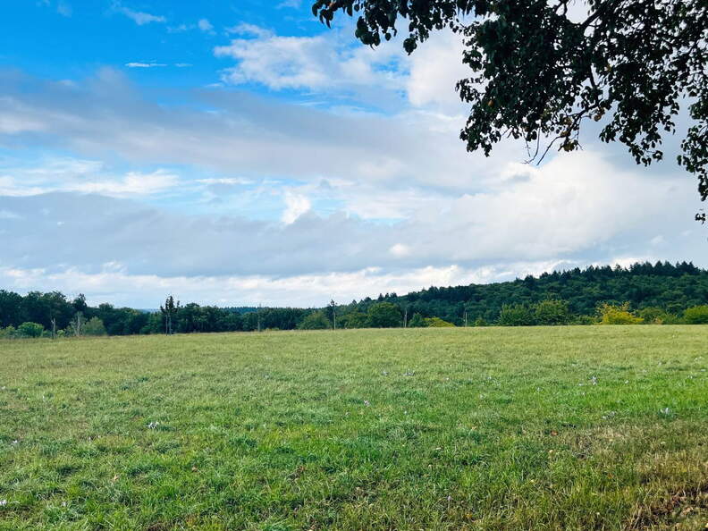 22-09-10 17-59-08 1976